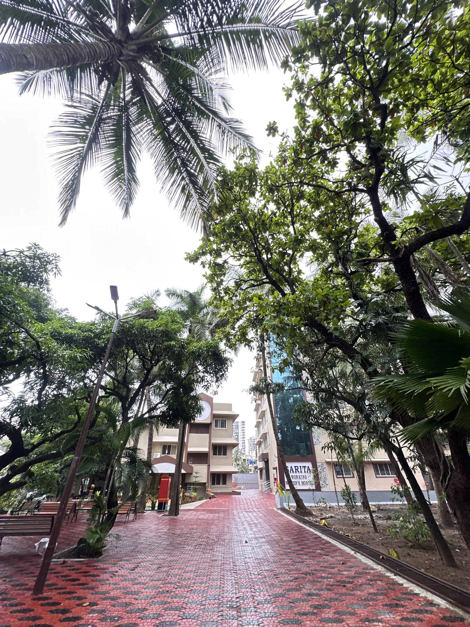 Tree-lined path inside the Sarita hostel campus